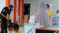 ANJING